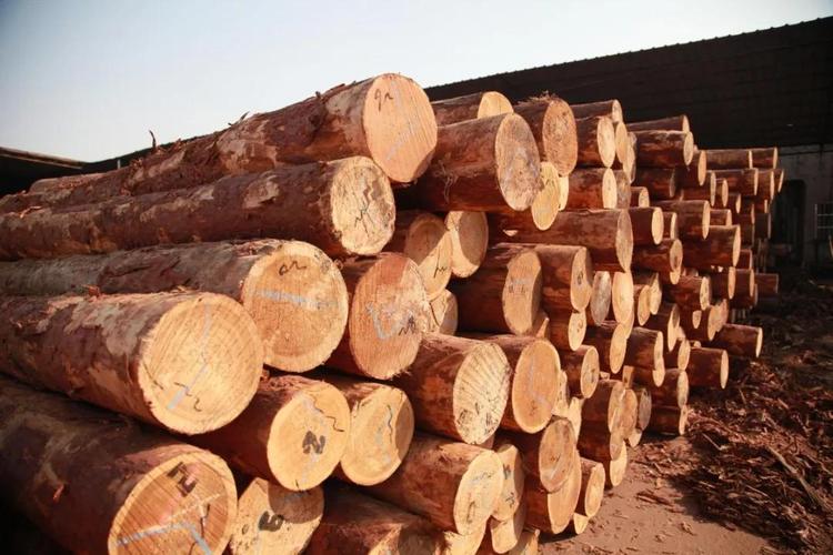 【创秋木业】我国木材产品的消费量已跃居世界前列!_加工