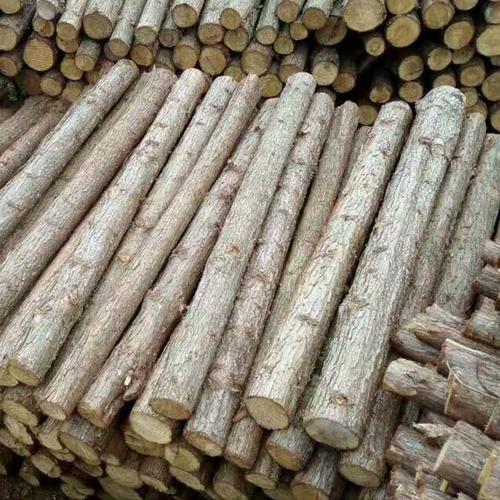 东莞厂家生产直供杉木板材方条  原木加工定制 量大从优品质