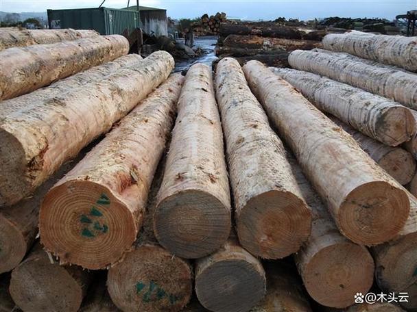 生产锯木结构木材和工程木材等产品的投资,以促进对国内木材加工发展